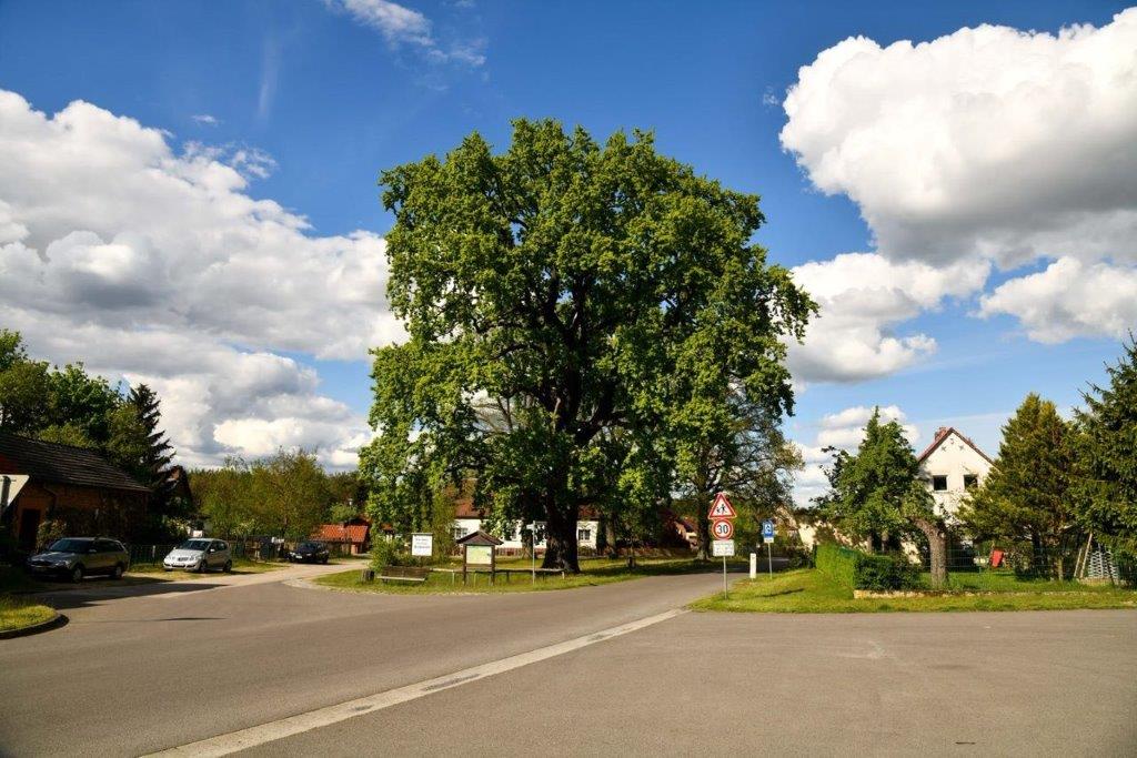 Dorfplatz mit Baum